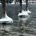 Ice with snow on posts in water